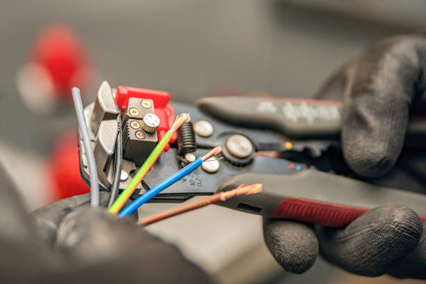 Best Local Electrician Companies  in Clayton, NM