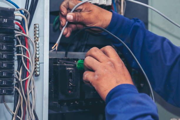 Best Electric Panel Repair  in Clayton, NM